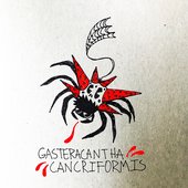 GASTERACANTHA CANCRIFORMIS