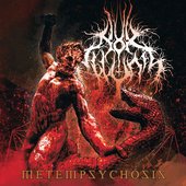 Metempsychosis