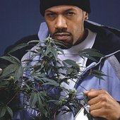 redman