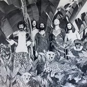 Pantha (Australian Band)