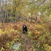 IMG_5188.jpeg