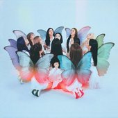 butterfly cover w/o text !!