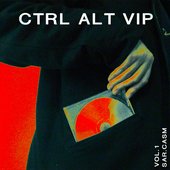 CTRL ALT VIP, Vol. 1