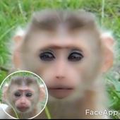Alexander_Weeb için avatar