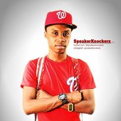 Speaker Knockerz