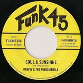 Soul & Sunshine / What Can I Do
