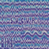 Sucuri