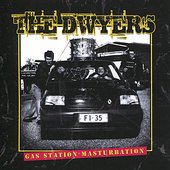 The+Dwyers_Gas+Station+Masturbation_10183.jpg