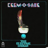 The Electric Indian