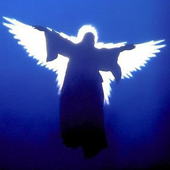 schii_None_50111227-f5d9-49bd-afe9-c52ddfb10bc6.png
