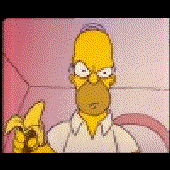 Avatar de theHOMER