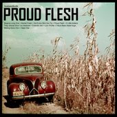 Proud Flesh