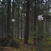 Wunderbaum