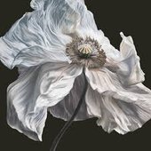Bring On The Psychics
