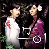 muoi