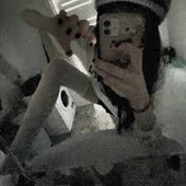 puppyfaced 的头像