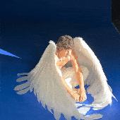 PAJARO AZUL GIF
