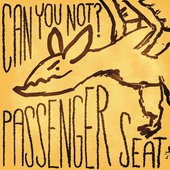 Passenger Seat