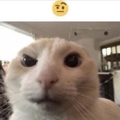 mxxntt 的头像