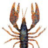 Crawdaddy79 的头像