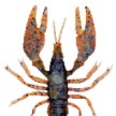 Avatar for Crawdaddy79