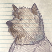 Avatar for yorkiegregg