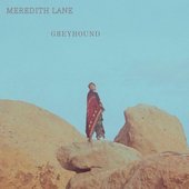 Greyhound