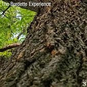 Artwork The Burdette Experience 3