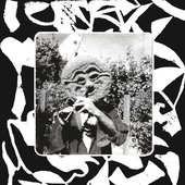 Clams As A Main Meal