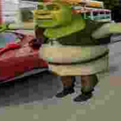 shrek flushed.png