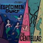 Espécimen Surf