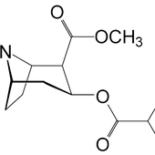 CocainJM 的头像