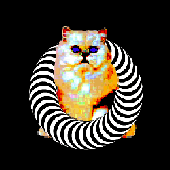 Avatar for carterboyd