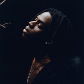 Rema for Spotify 2024 🦇