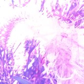 a3343279523_10.jpg