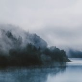 Perception