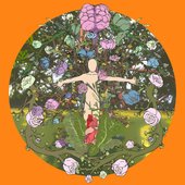 Cauliflower - Single