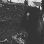Graves