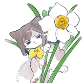 Avatar for seagullsRtheB