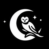 Midnight Muse
