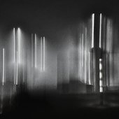 In The Midst Of Grey