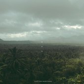 Petrichor