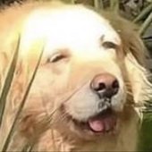 "