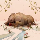 Solitary Refinement [Explicit]