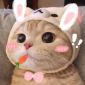 briantc05 的头像