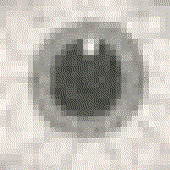 LastFM profile picture for @tattle