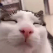 Muzyj 的头像