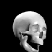 CraniumMischief için avatar