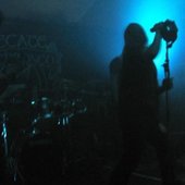 2010 - II