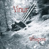 Vinur
